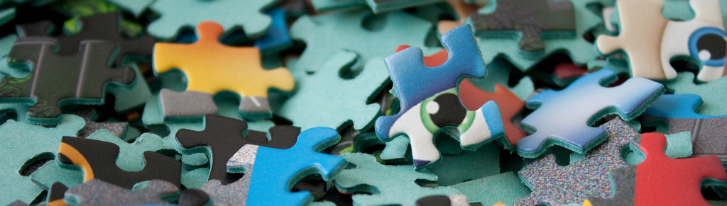 Puzzle Pieces