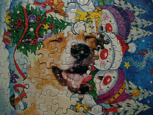 Super High Christmas Dog